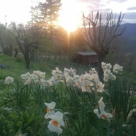 Bed & Breakfast Ca' Dei Ste Valle (Bologna, Emilia-Romagna)