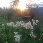לינה וארוחת בוקר Ca' Dei Ste Valle (Bologna, Emilia-Romagna)