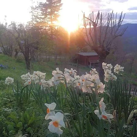 Bed & Breakfast Ca' Dei Ste Valle (Bologna, Emilia-Romagna)