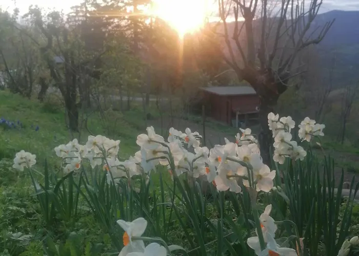 Bed & Breakfast Ca' Dei Ste Valle (Bologna, Emilia-Romagna)